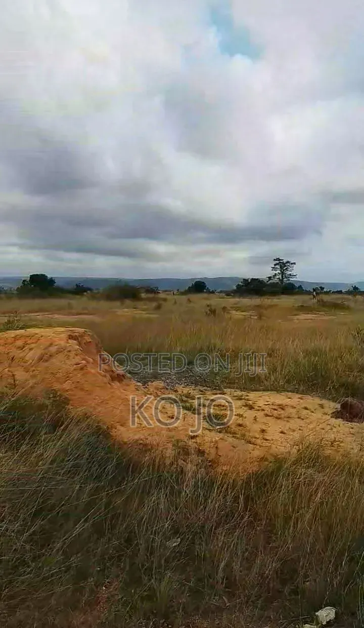 25 Acres of Registered Land at Appolonia