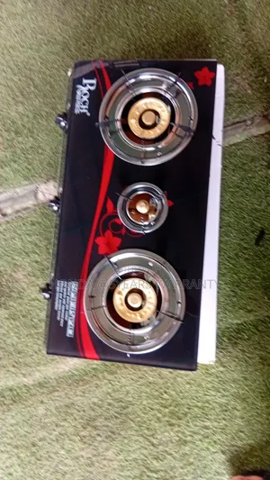 Upgrade Your Kitchen With a Roch Cooker