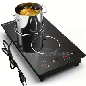 Electric Stove Double Cooktop