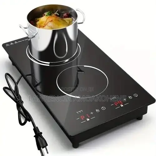 Electric Stove Double Cooktop