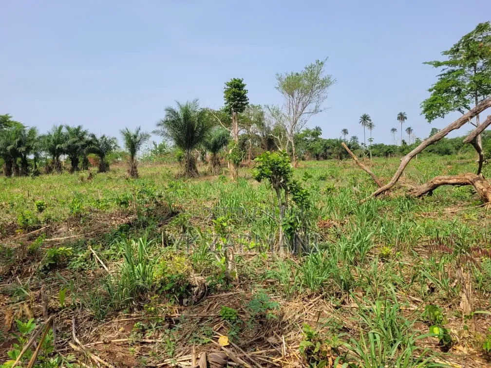 10 Acres Farmland for Sale