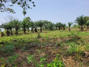 10 Acres Farmland for Sale