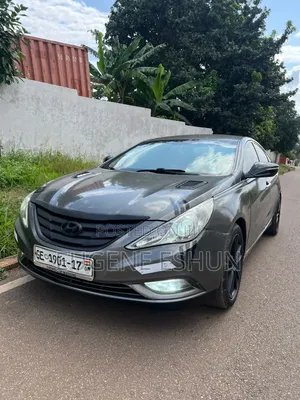 Hyundai Sonata 2014 Gray