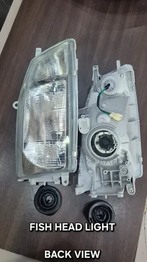 Toyota Fish Headlight
