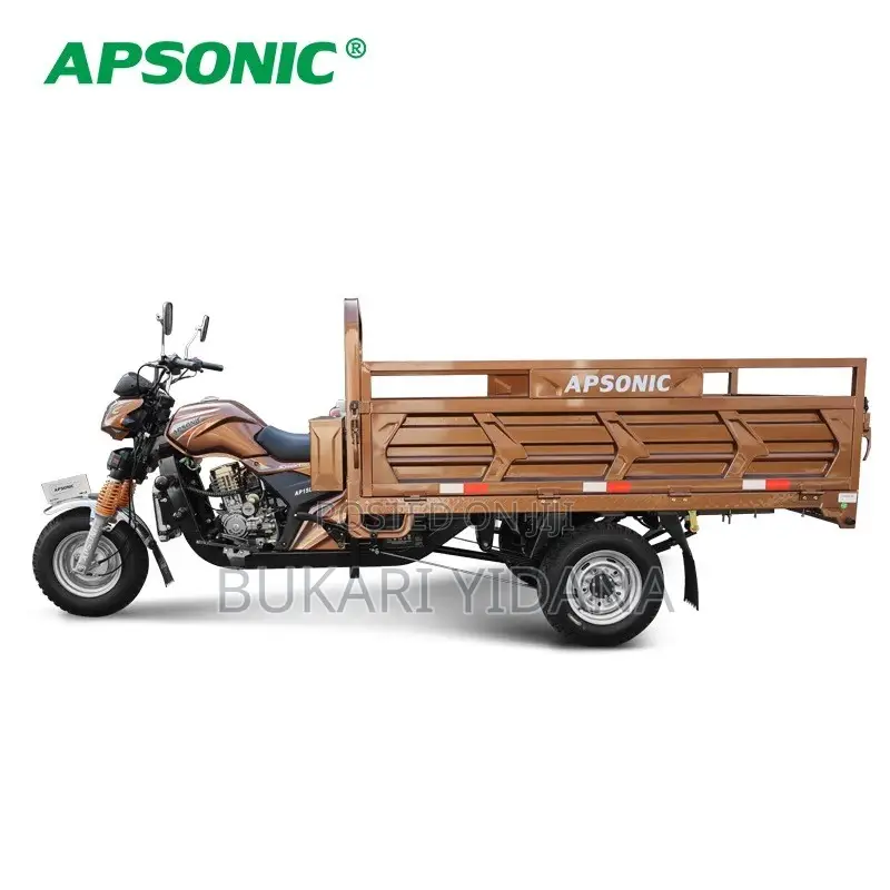 New Apsonic AP200ZH-A 2026 Brown