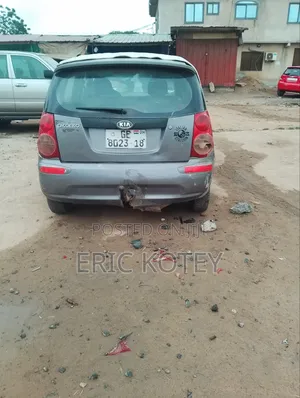 Kia Picanto 2009 Gray