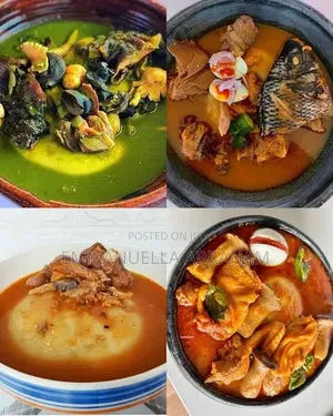 Professional Chef