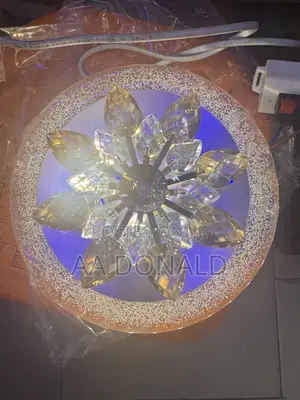 Rotating Ceiling Light