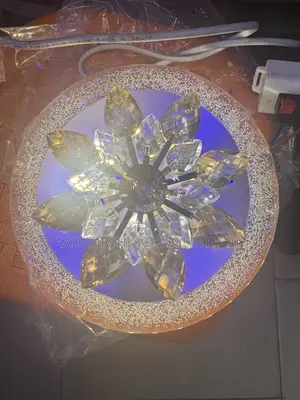 Rotating Ceiling Light