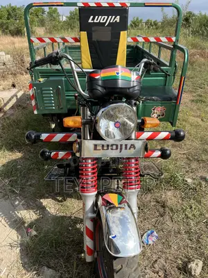 Luojia Cargo Tricycle 2026 Green