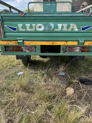Luojia Cargo Tricycle 2026 Green