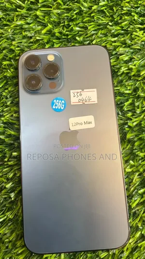 Apple iPhone 12 Pro Max 256 GB Blue