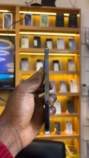 Apple iPhone 12 Pro Max 256 GB Blue