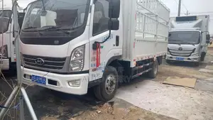 Hyundai Hongtu