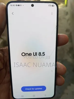 Samsung Galaxy S24 128 GB Gray