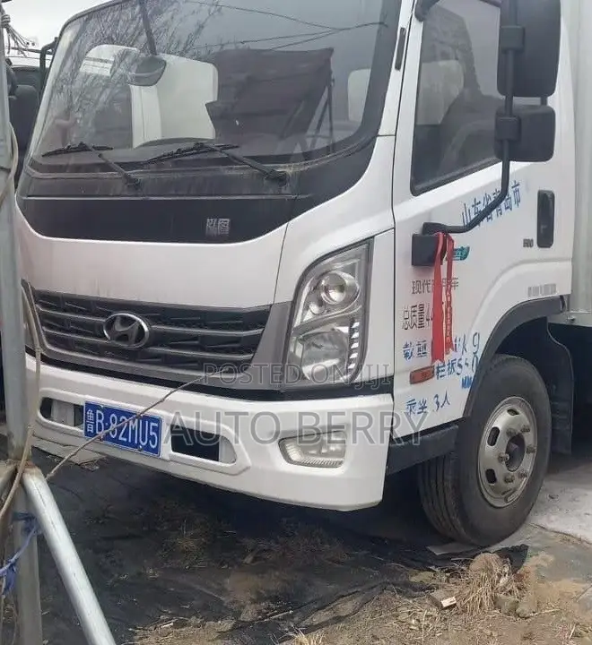 Hyundai Hongtu