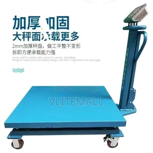 Platform Scale 1000kg