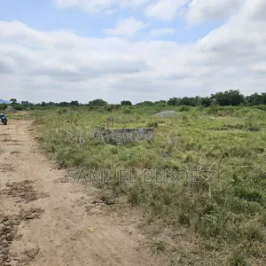 Two Plots of Land