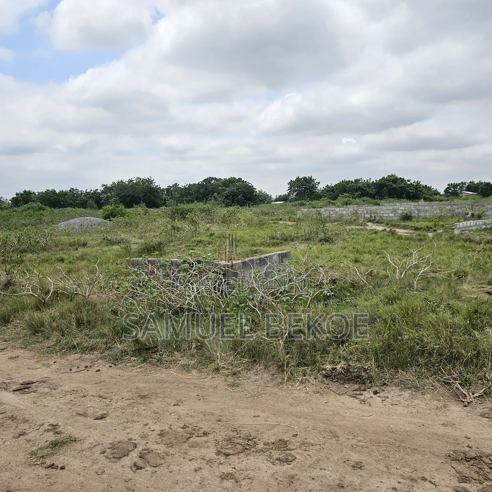 Two Plots of Land