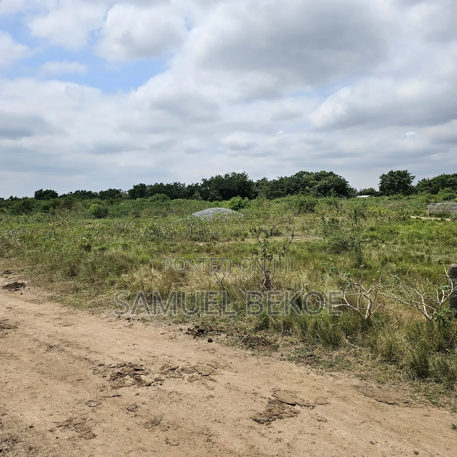 Two Plots of Land