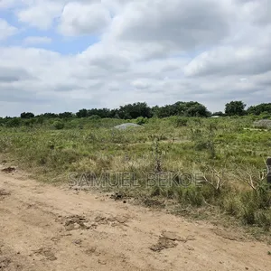 Two Plots of Land