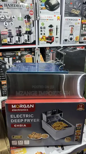 Morgan 6l Large Capacity Deep Fryer Kitchen Fries