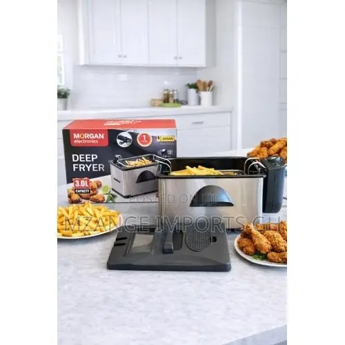 Morgan 3L Modern Deep Fryer With Lid Cover for Home