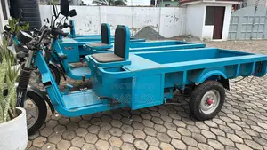 Tricycle 2024 Blue