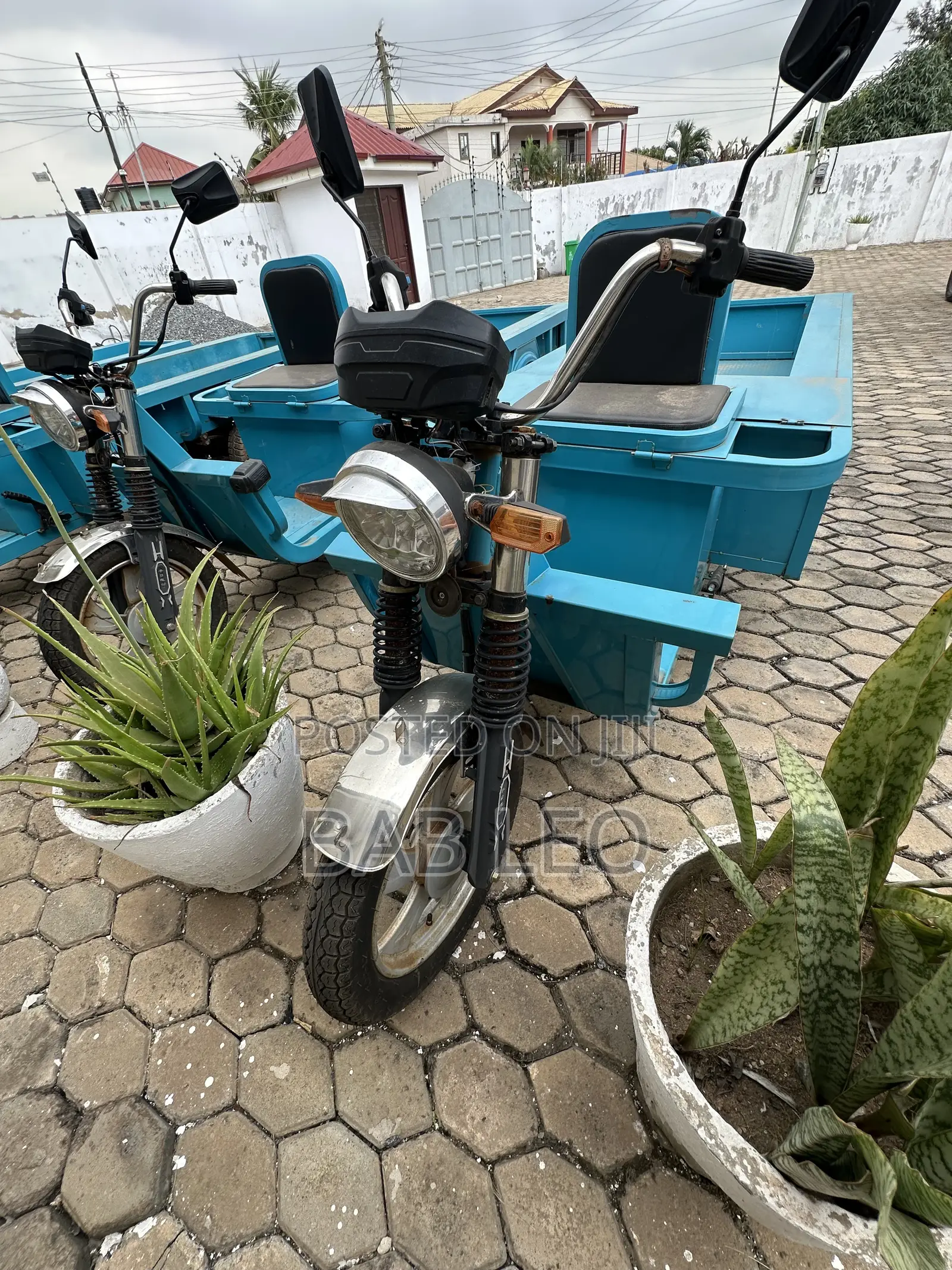 Tricycle 2024 Blue