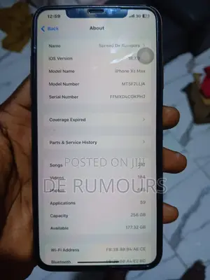 Apple iPhone XS Max 256 GB Green