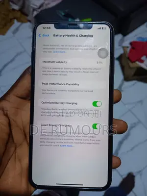 Apple iPhone XS Max 256 GB Green