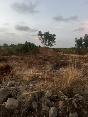 Half Plot for Sale at Lakeside Regimaunel Boundary at GHC 