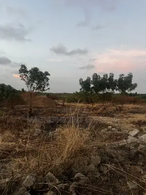 Half Plot for Sale at Lakeside Regimaunel Boundary at GHC 