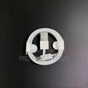 iPhone Charger Cord/ Apple iPhone Charger Cord