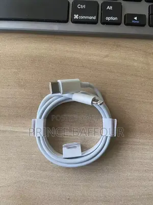 iPhone Charger Cord/ Apple iPhone Charger Cord