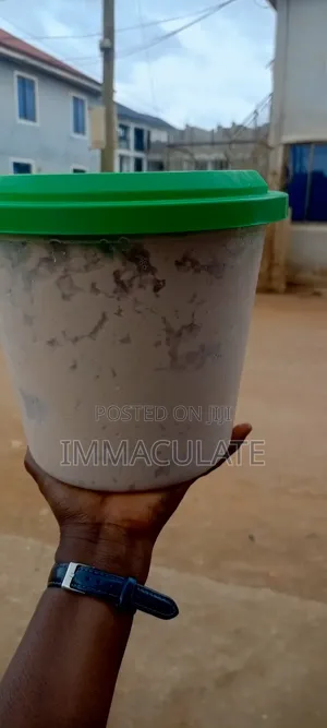 Fresh Nigerian Pap (Akamu/Ogi) – Immaculate Premium Pap