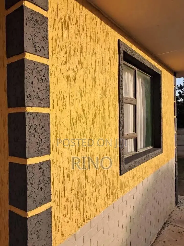 Pro Painter -Takoradi Accra -Cleen Fast Work