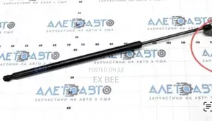Honda CRV Rear Tailgate Lift Support Shocks Struts Rod Pair