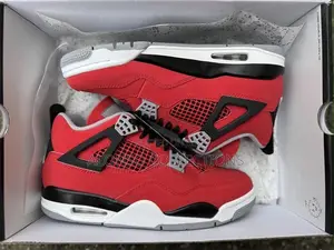 *Air Jordan 4 Toro Bravo*