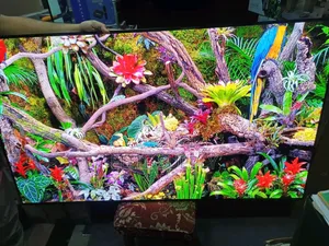 Samsung 55inches TV