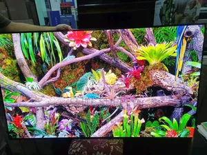 Samsung 55inches TV