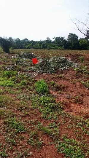 Farm Land for Sale