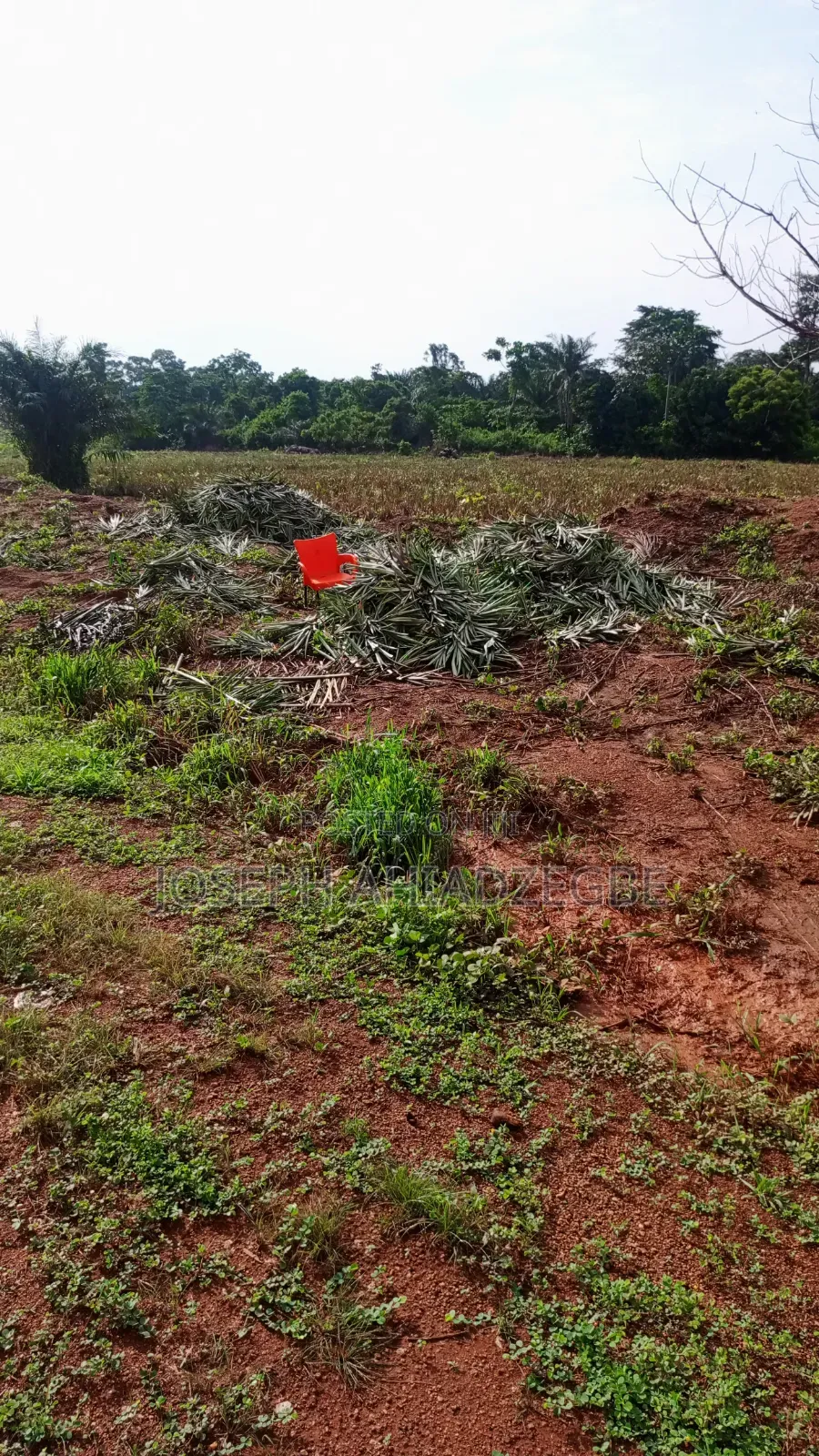 Farm Land for Sale