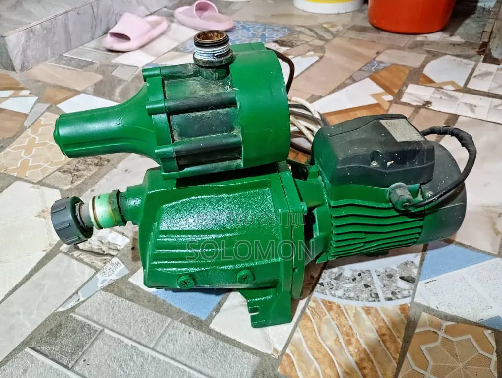 Leo Water Pump With Booster
