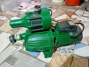 Leo Water Pump With Booster