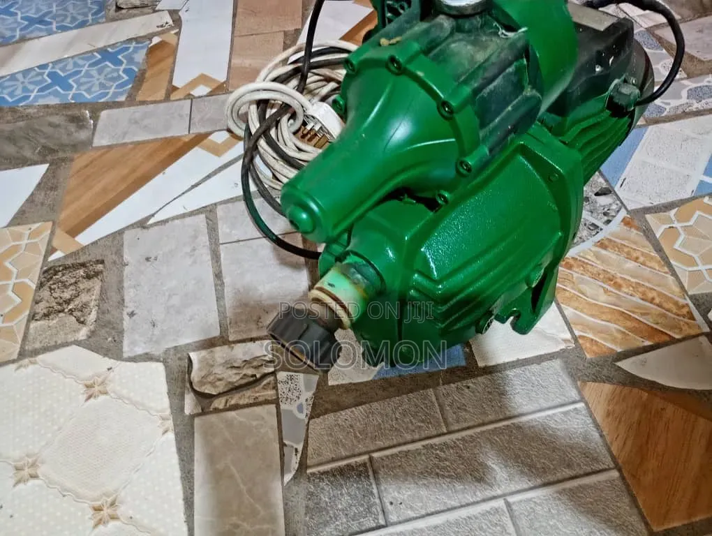 Leo Water Pump With Booster