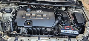 Toyota Corolla 2010 Gold