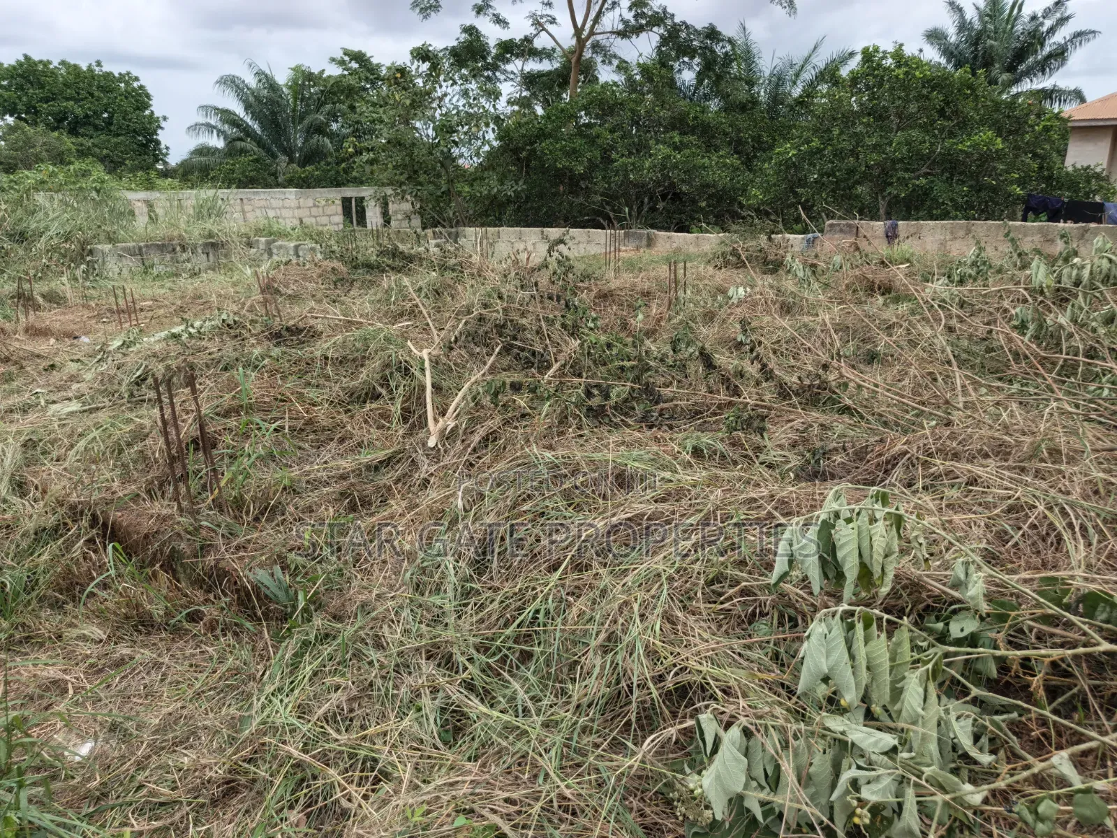 Plot for Sale at Aputuogya ( Near the Station/ Market)