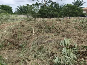 Plot for Sale at Aputuogya ( Near the Station/ Market)