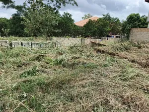 Plot for Sale at Aputuogya ( Near the Station/ Market)